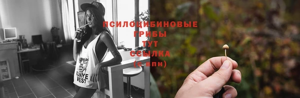 первитин Армянск