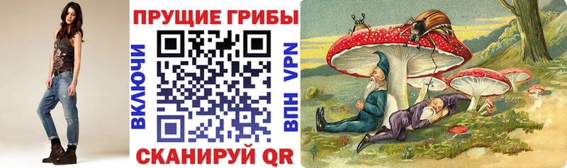 Псилоцибиновые грибы Magic Shrooms Новодвинск
