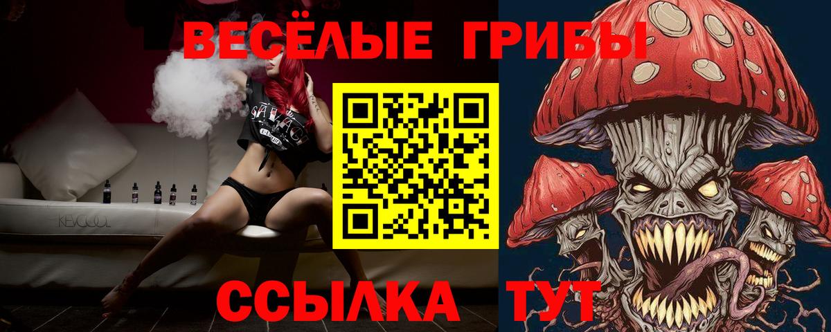 Галлюциногенные грибы Magic Shrooms Новодвинск