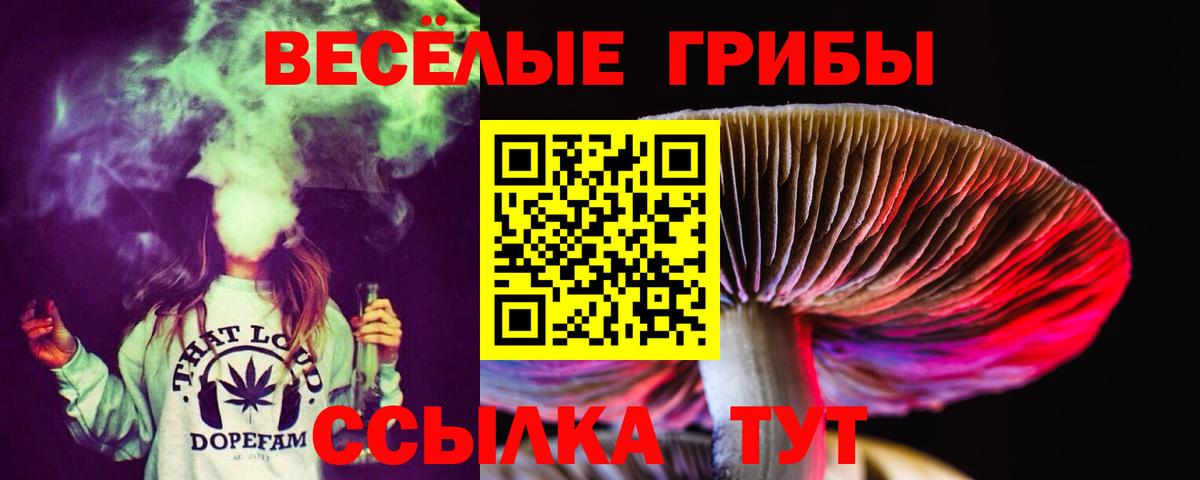 Новодвинск  Псилоцибиновые грибы MAGIC MUSHROOMS  Вход с VPN 